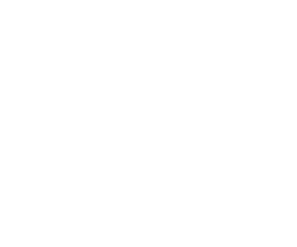 Fenix Consultant